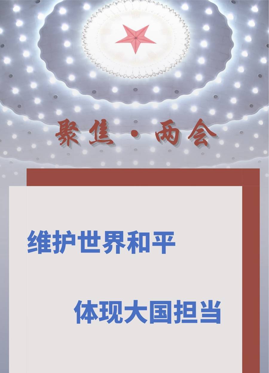 促进世界和平团结合作海外专家学者点赞中国外交政策和实践