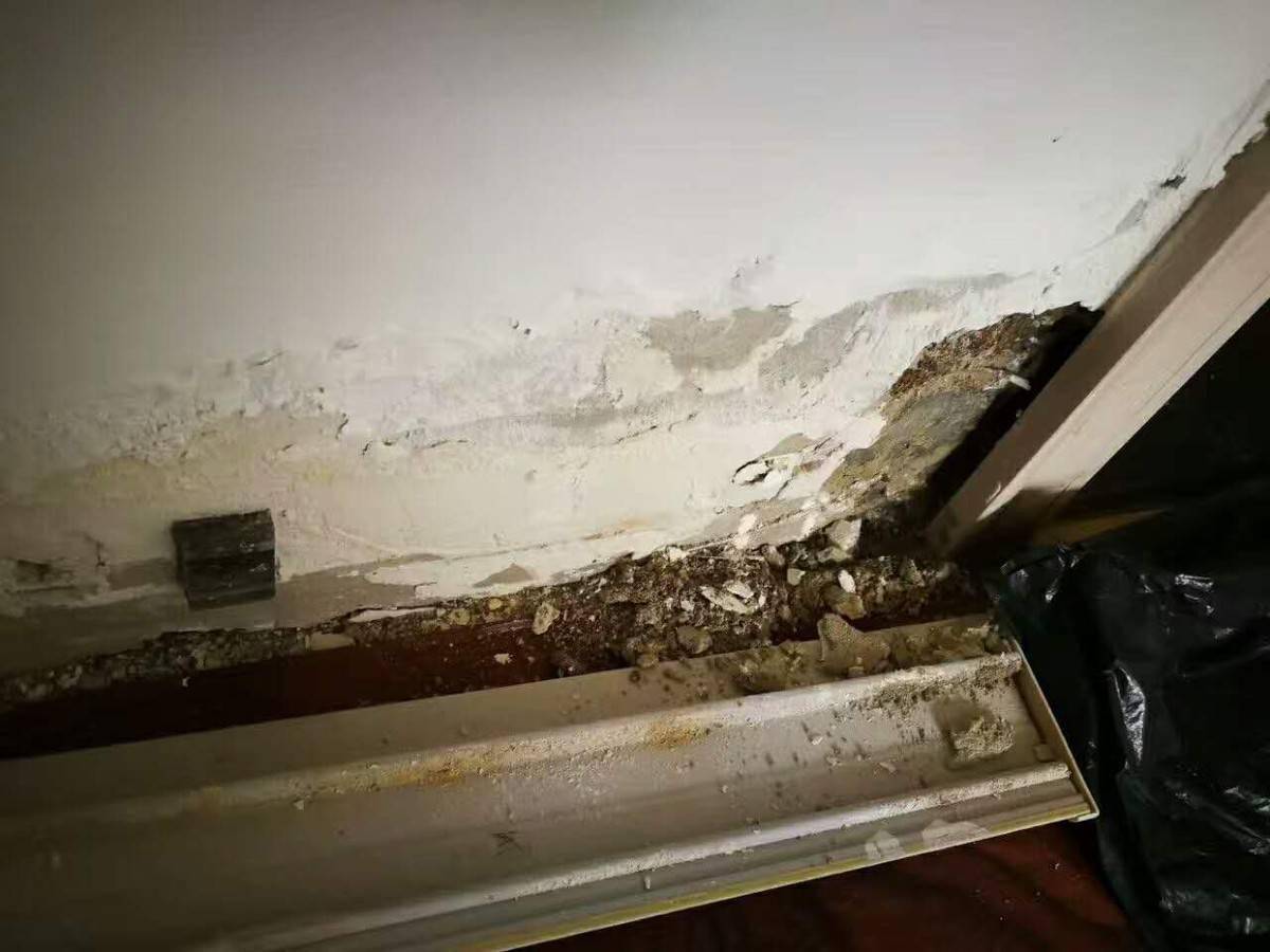 墙体渗水返潮导致墙皮脱落找出原因根据这4个方法对症下药