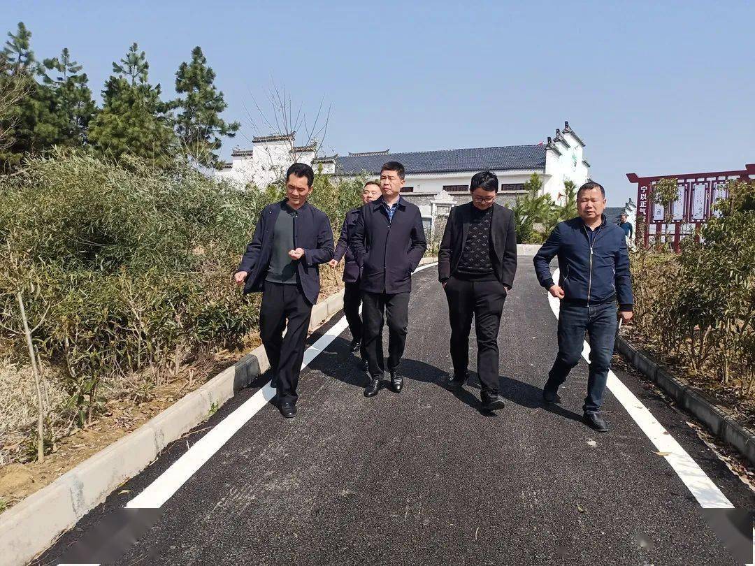 林业局领导一行专程赴四望镇调研"油茶小镇"建设工作,镇党委书记高威