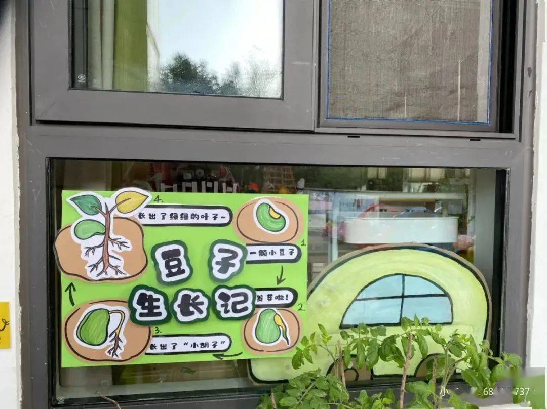 幼儿园植物角创设指南告诉孩子春天的美妙与期待