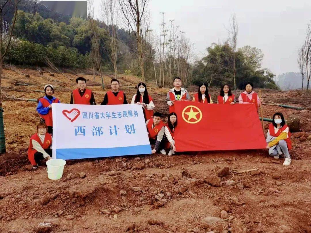 植树节保护绿色武胜县西部计划志愿者在行动
