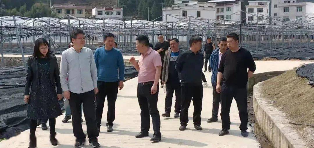 【民和为本】民和镇每日工作动态(3月10日)_镇党委_指导_县委组织部