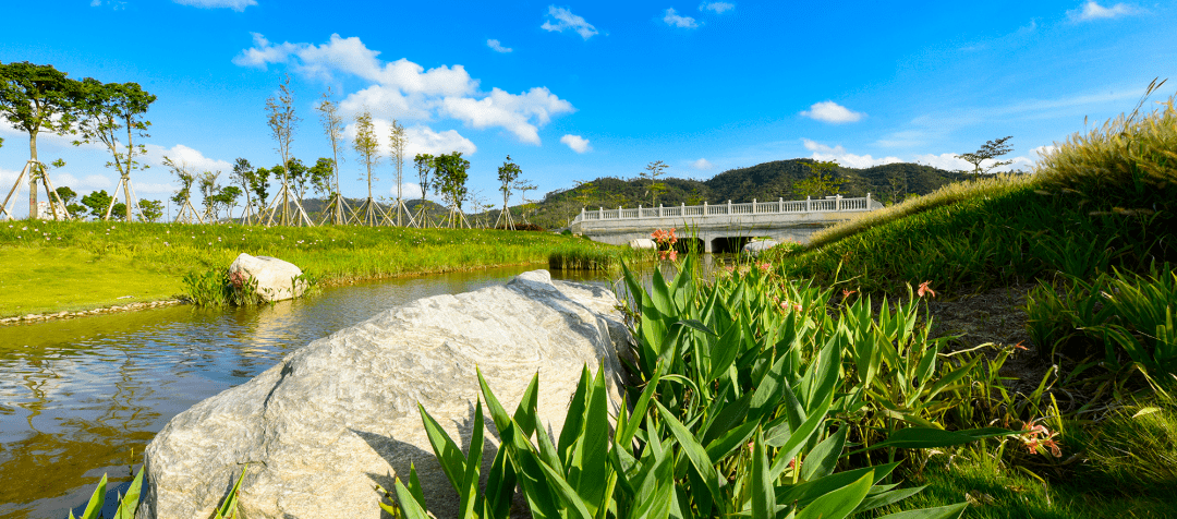 珠海赏春踏青指南!这些春色千万别错过!_横琴_公园_二井