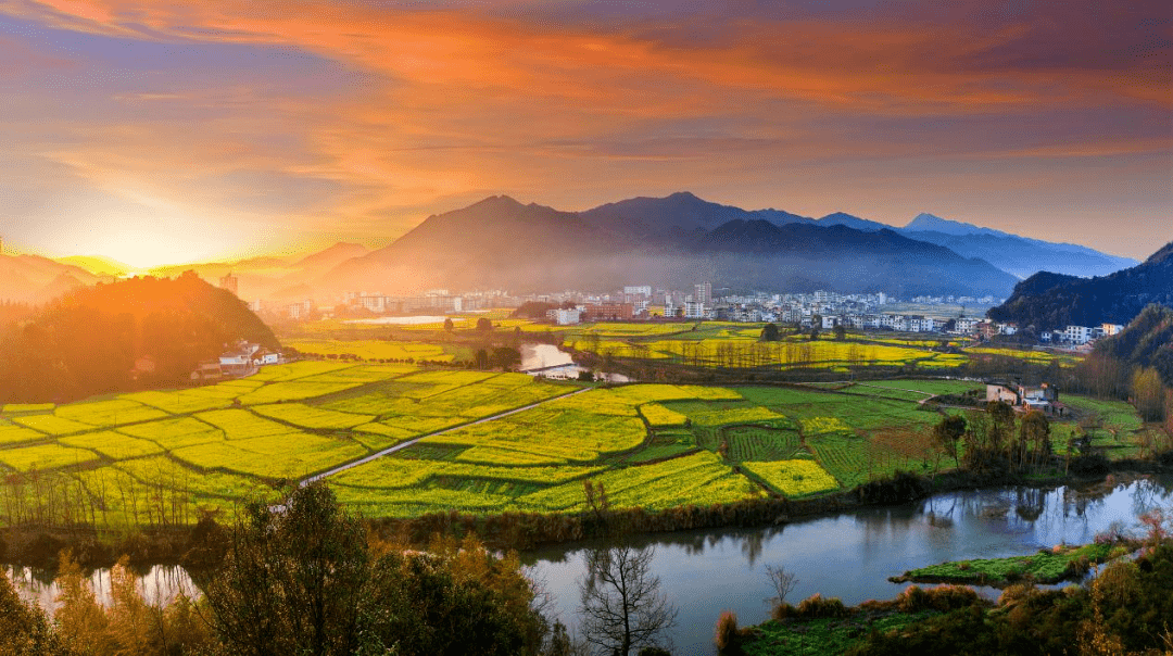 不负好春光春满花田最美湘约东桥镇第十三届油菜花节明天开幕