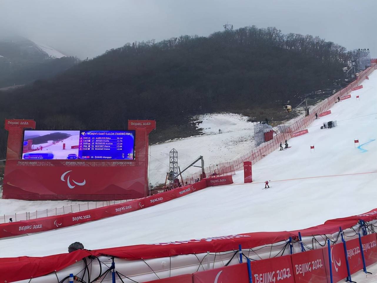 组别|冬残奥高山滑雪女子大回转首轮，张梦秋、刘思彤暂列小组第一