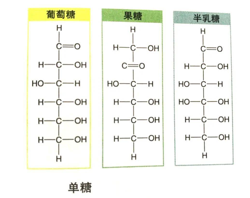 它们都含有碳,氢和氧元素,但其结构和甜度略有不同.
