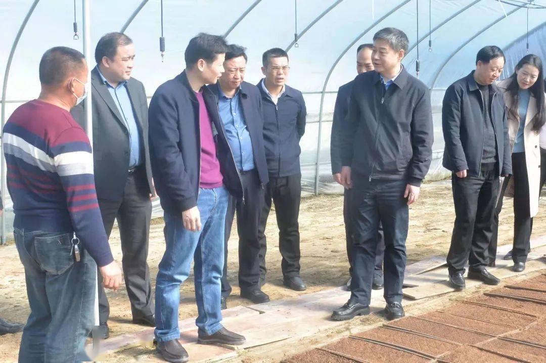 严华在邵东市调研努力当好邵阳高质量发展排头兵