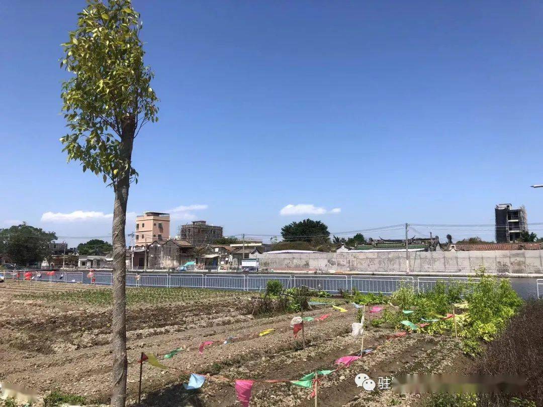 陇田镇望上村转载请注明来源来源 |驻陇田镇帮镇扶村工作队