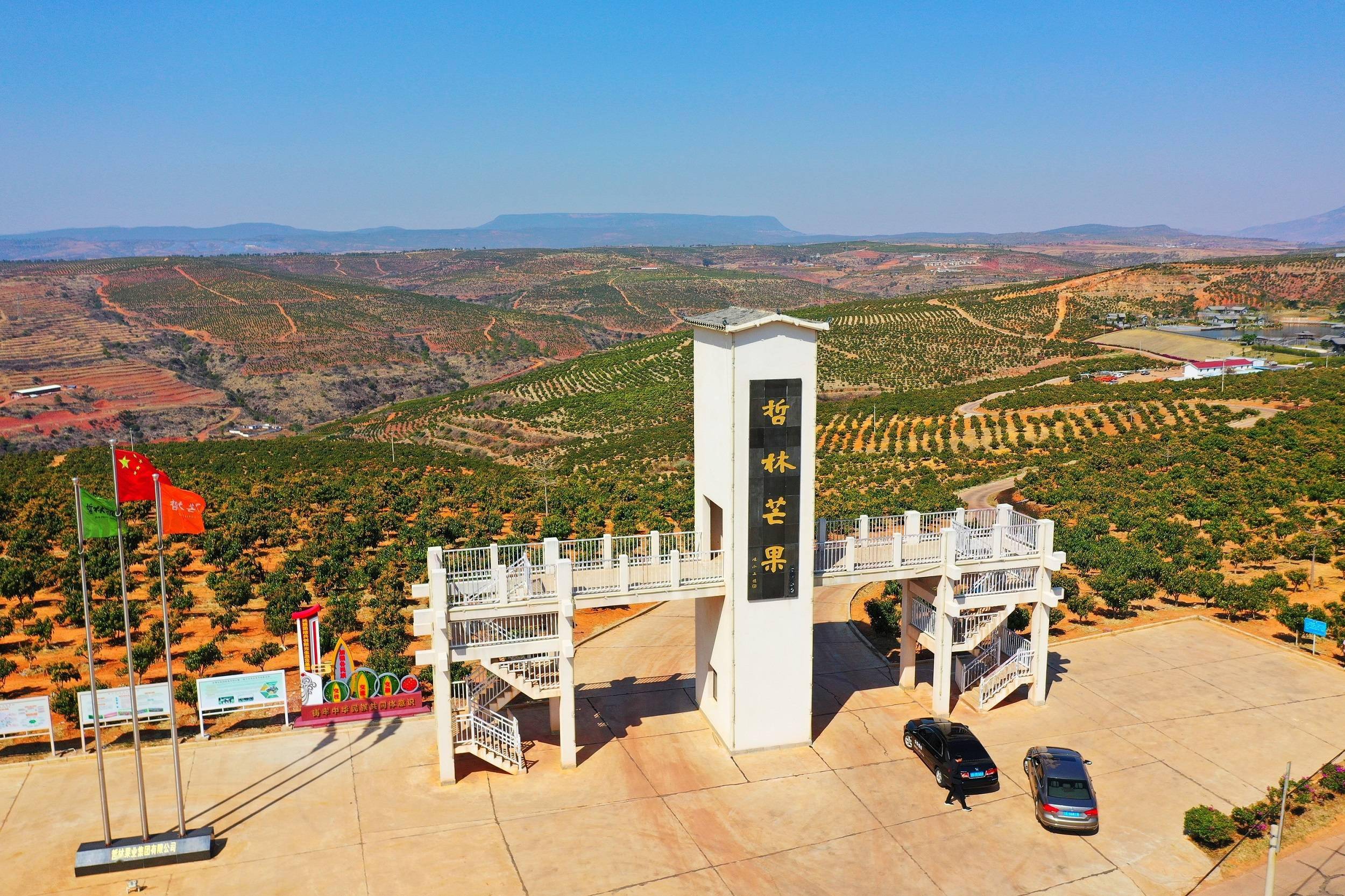 永仁县千余党员干部一线助企解难题