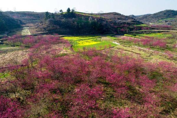 社区|贵州毕节：春暖花开春意浓