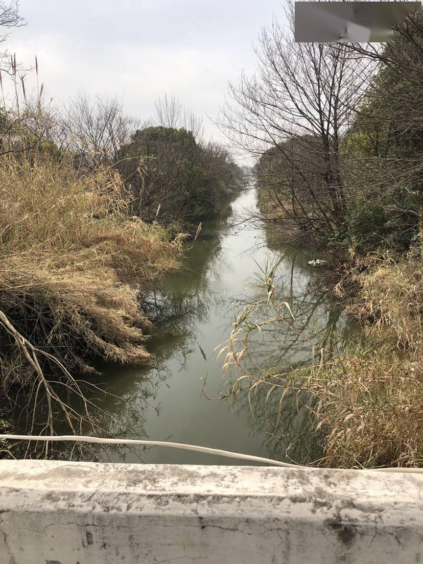 确认过眼神野河体验爆护的感觉