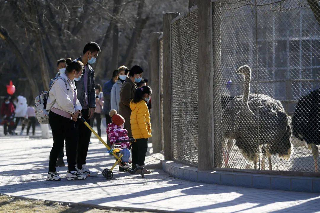 快看銀川中山公園動物園要搬到這裡