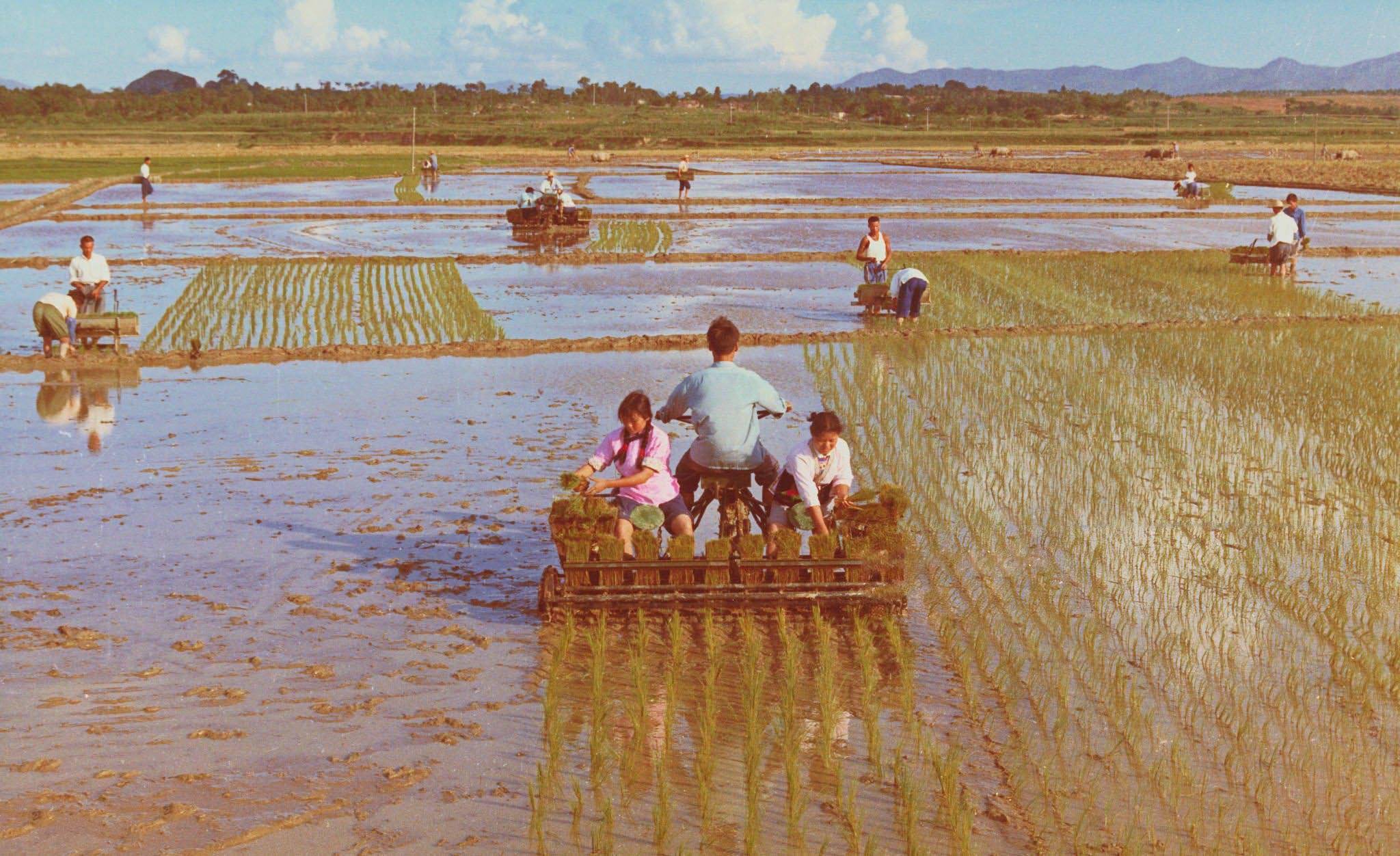 70年代的中国老照片34