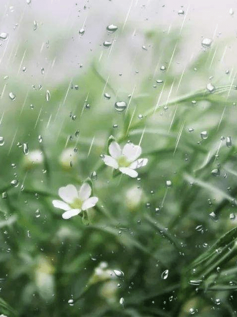 《早春呈水部张十八员外》——唐·韩愈天街小雨润如酥,草色遥看近却