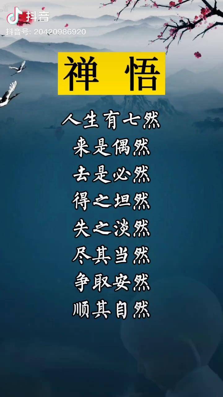 禪悟人生人生感悟修心修行