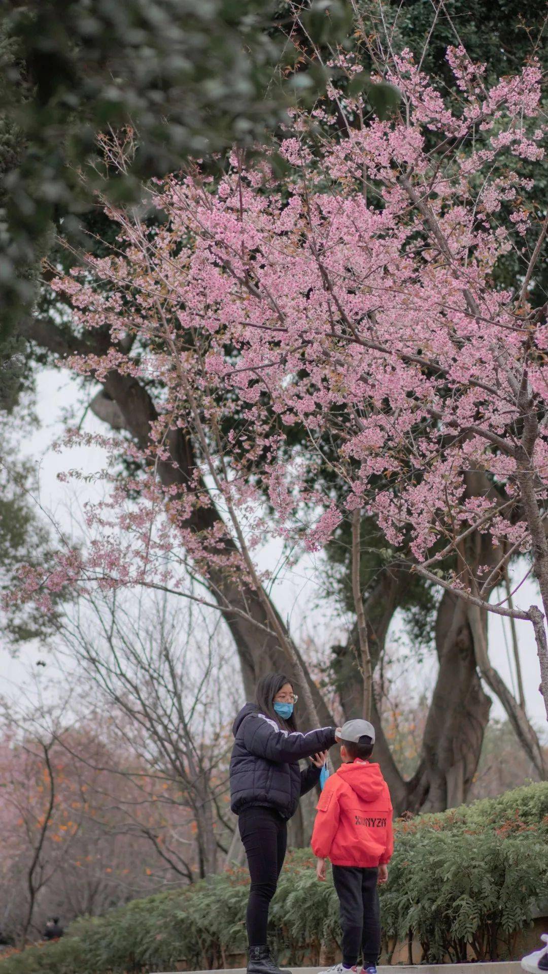 此景若彩虹遇上方知有