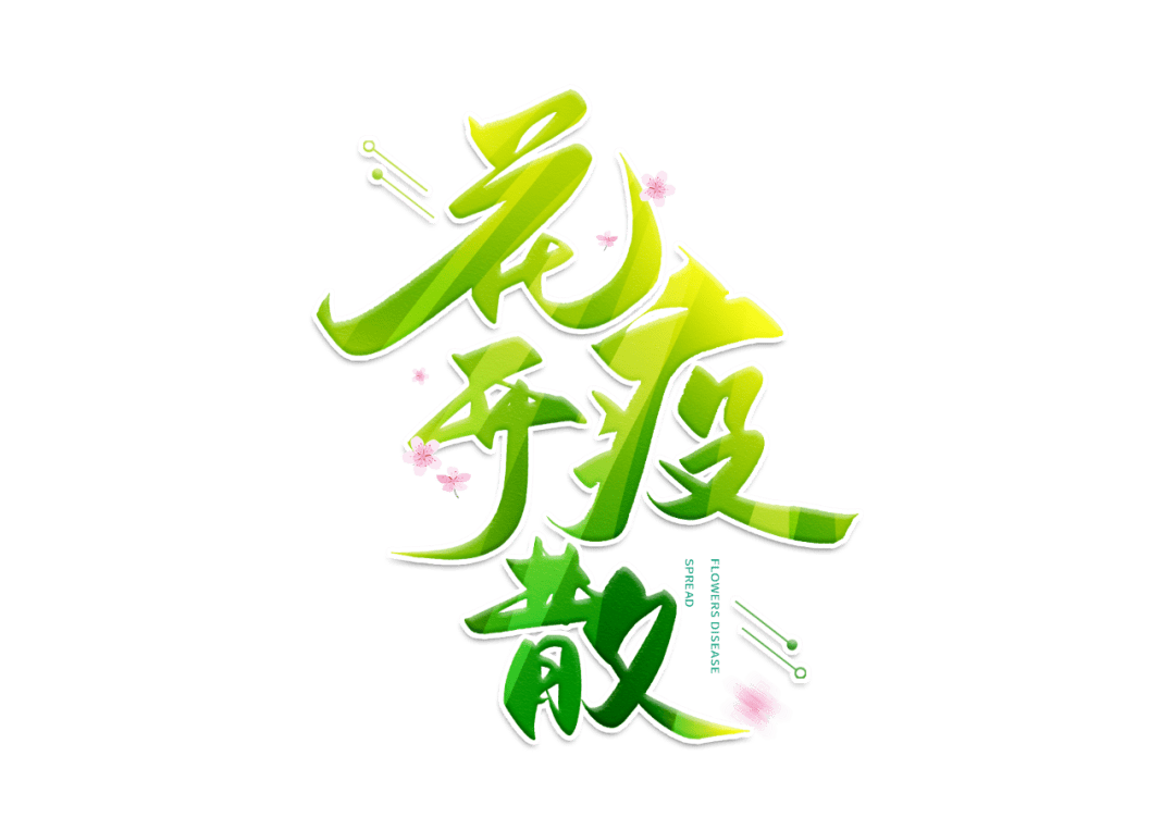 花开疫散山东有线大美淄博栏目陪您居家抗疫共克时艰抵达春天