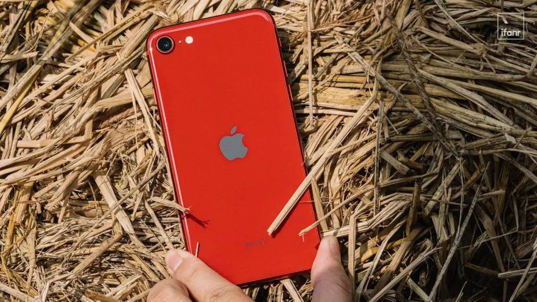 苹果|【首发】iPhone SE 3 开箱:最便宜 5G iPhone,最强单摄手机
