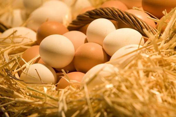 醪糟蛋|这4种蛋吃了毁健康，太多人中招！鸡蛋+它们才是黄金搭档，养肝补血