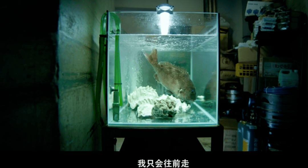 李亘|她是下一个倪妮？