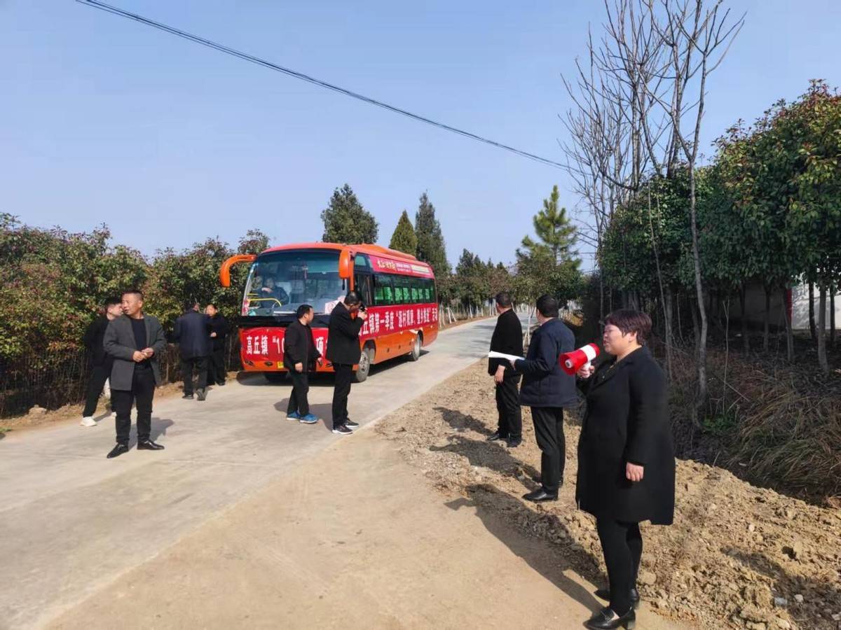 镇平县高丘镇开展1050专项攻坚行动现场观摩活动