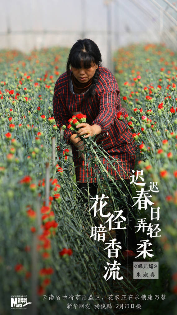 王亚婧春景系列海报：人勤春来早，花径暗香流