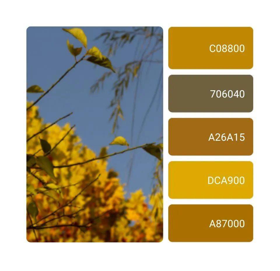 暖橙色真的能让人感到愉悦放松哇作为暖色系中的主力军凋落之中又透露