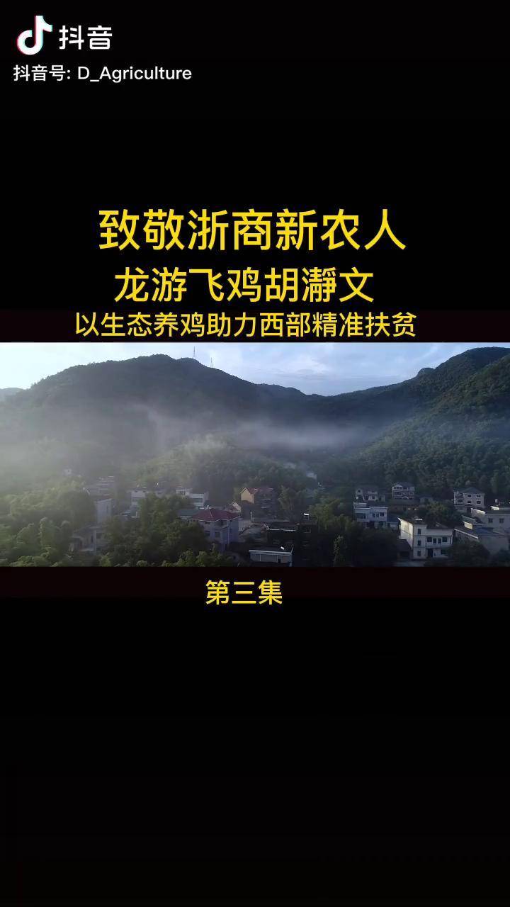 致敬浙商新农人龙游飞鸡董事长胡瀞文女士以生态养鸡