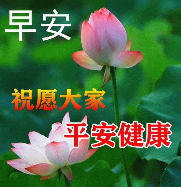 3月15日早上好祝福语图片大全问候动态表情图片大全