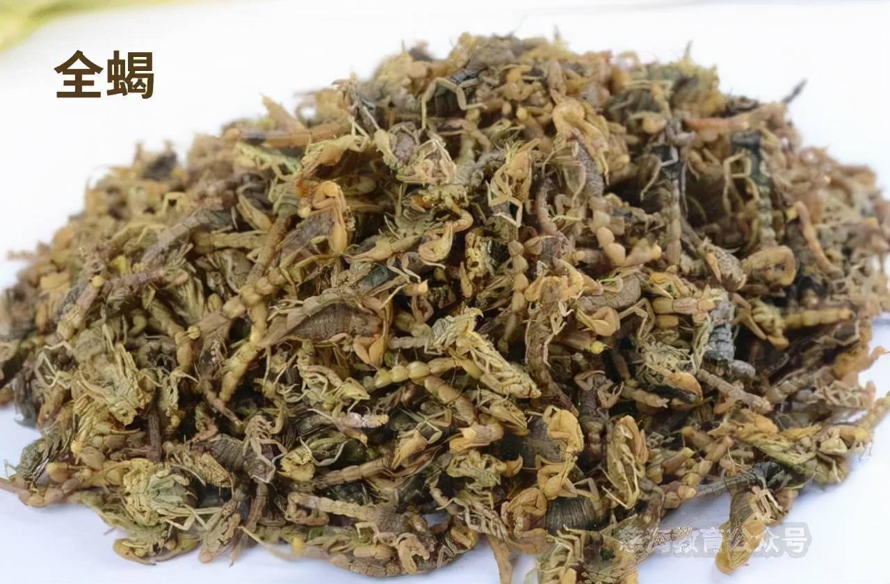每天学习一味中药——全蝎_痉挛_腹部_虫体