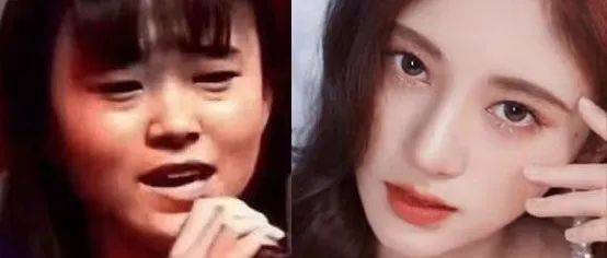 10位“整容变毁容”的女星,有几位曾经美艳动人,现在却无颜见人_黄夏蕙_邵音音_韩慧景