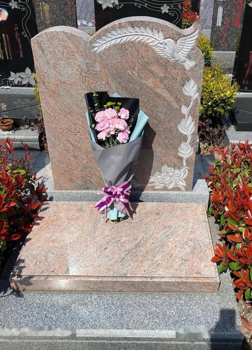 枫泾公墓2022年清明祭扫安排通知