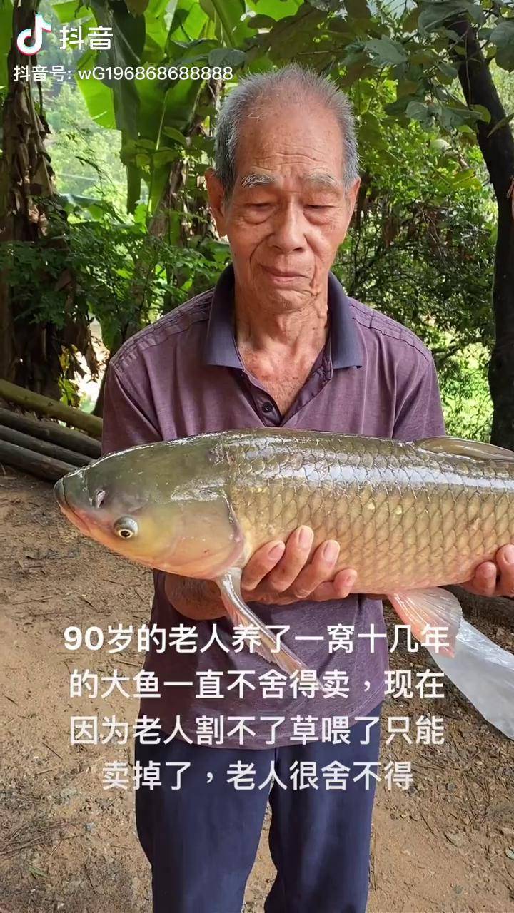 廣西最老的養魚人