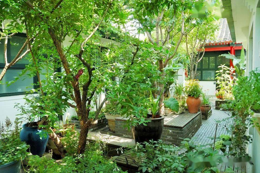 农家小院堪比别墅太美了