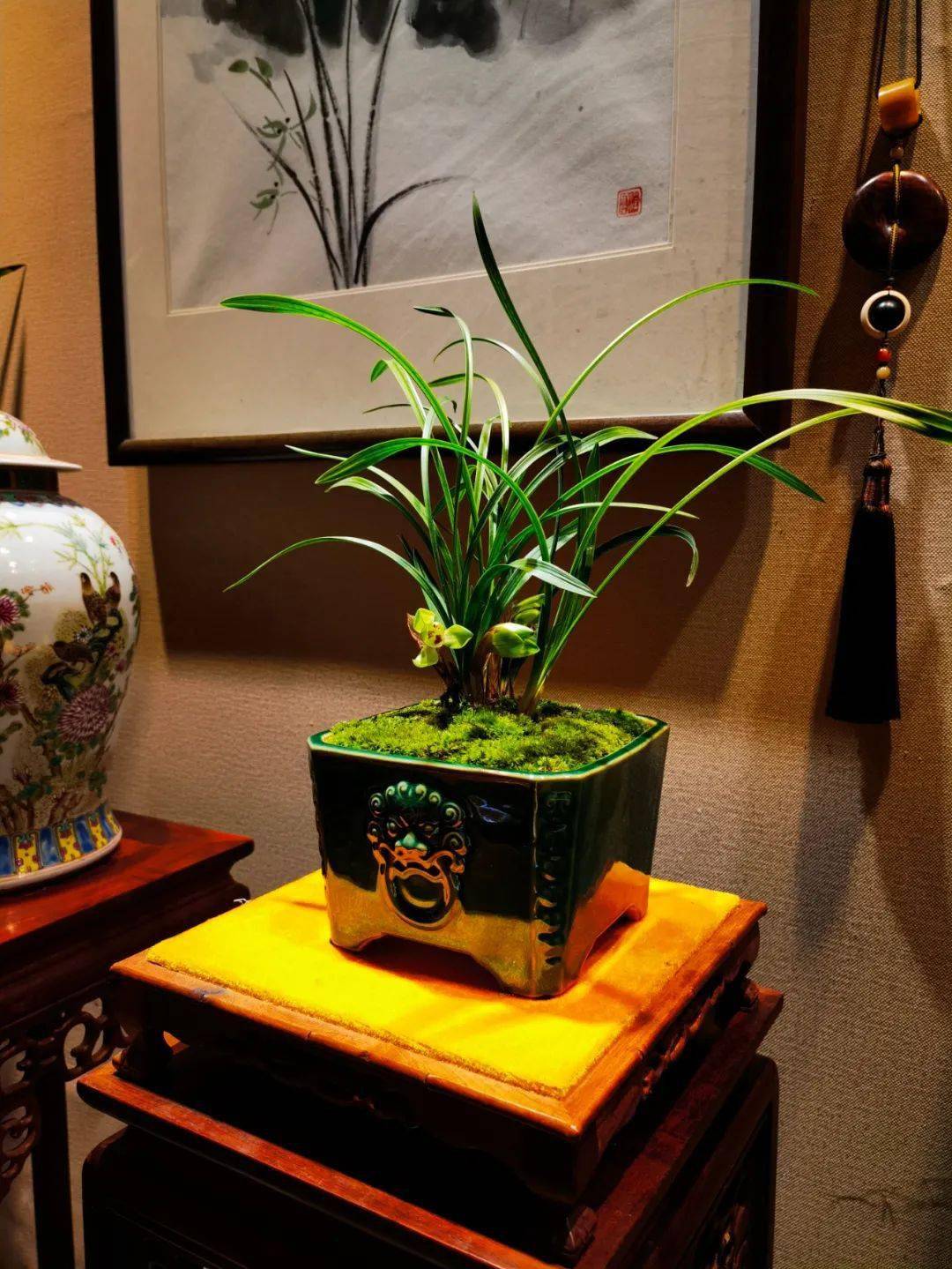 『兰花的美,中国人最懂』_孔子_为人_人们