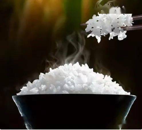 怀集丝苗米10斤装仅40元饭香浓郁自然好味道