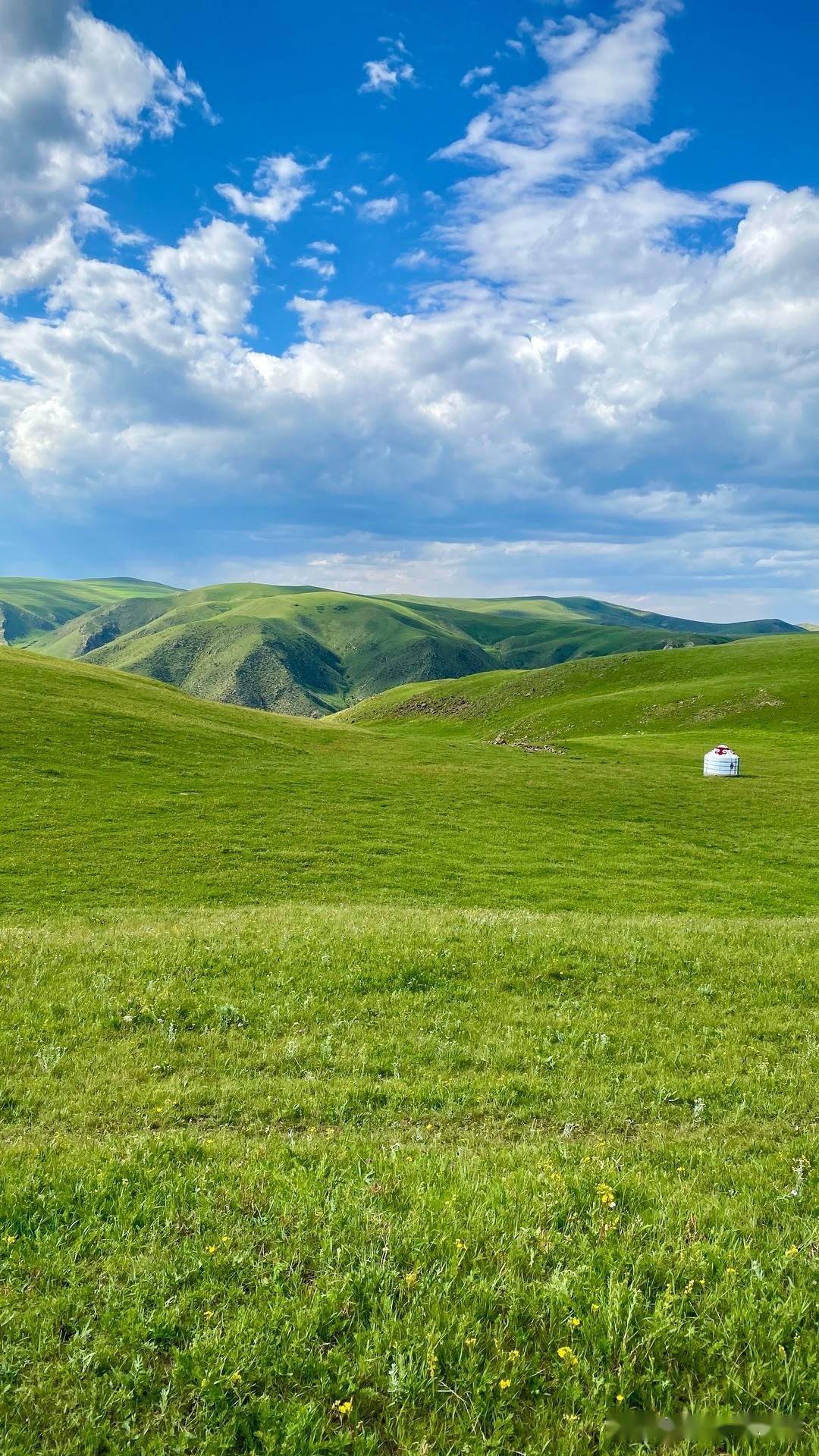 阿泽带你玩内蒙第13期辉腾锡勒草原怎么玩