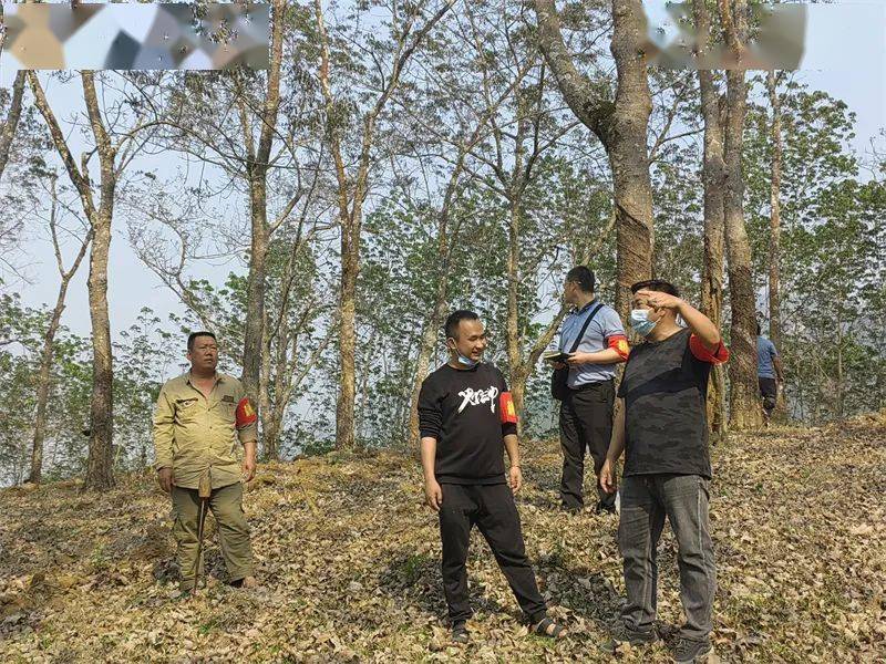 守绿水青山护生态农场遮放农场组织开展两级林长巡林工作