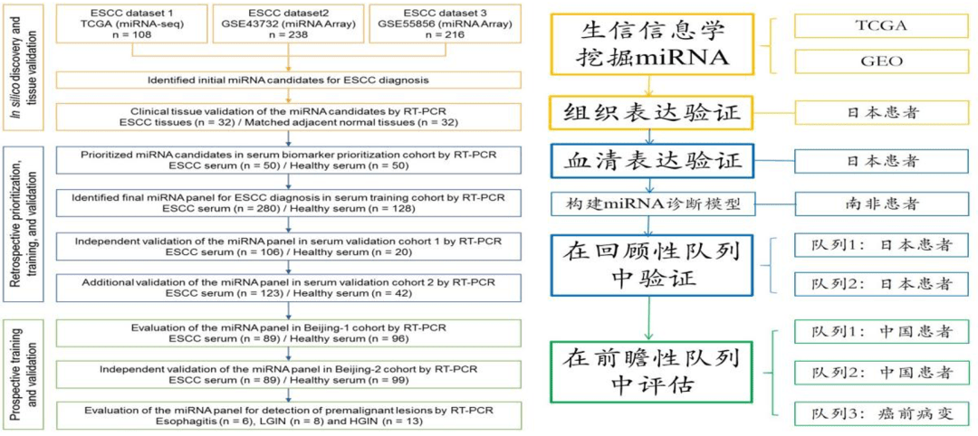 血清|中国领衔的最大规模食管癌研究，发现无创早筛新血清标志物