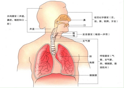 声纳三部分图片图片