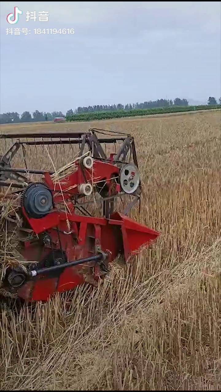 雷沃谷神rg50s履带机红色小钢炮真刚农业机械农机雷沃谷神