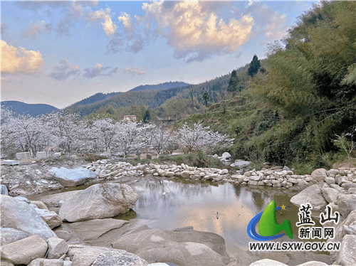 公路|蓝山：绝美樱花海 点缀湘江源