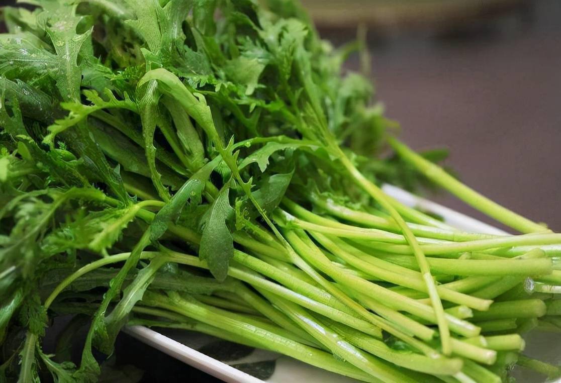 茼蒿被称为皇帝菜真有这么神奇吗常吃点茼蒿有什么好处