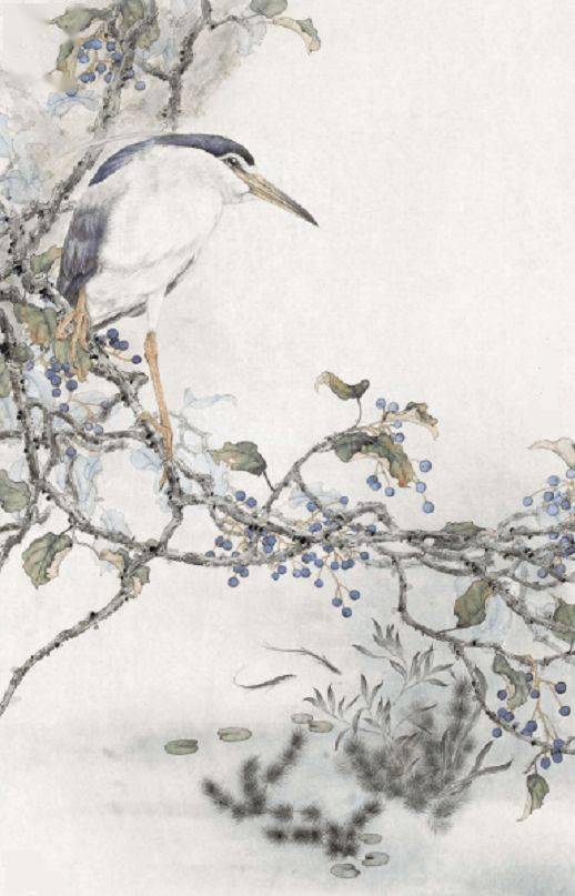 图文教程工笔画夜鹭池塘幽境67绘画步骤示范