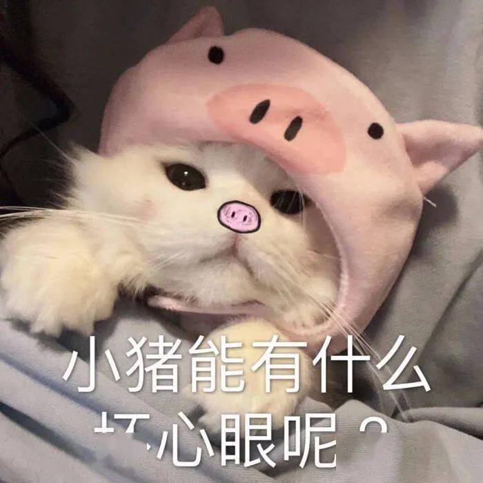 日常搞笑表情包i吃啥呢给我掰点