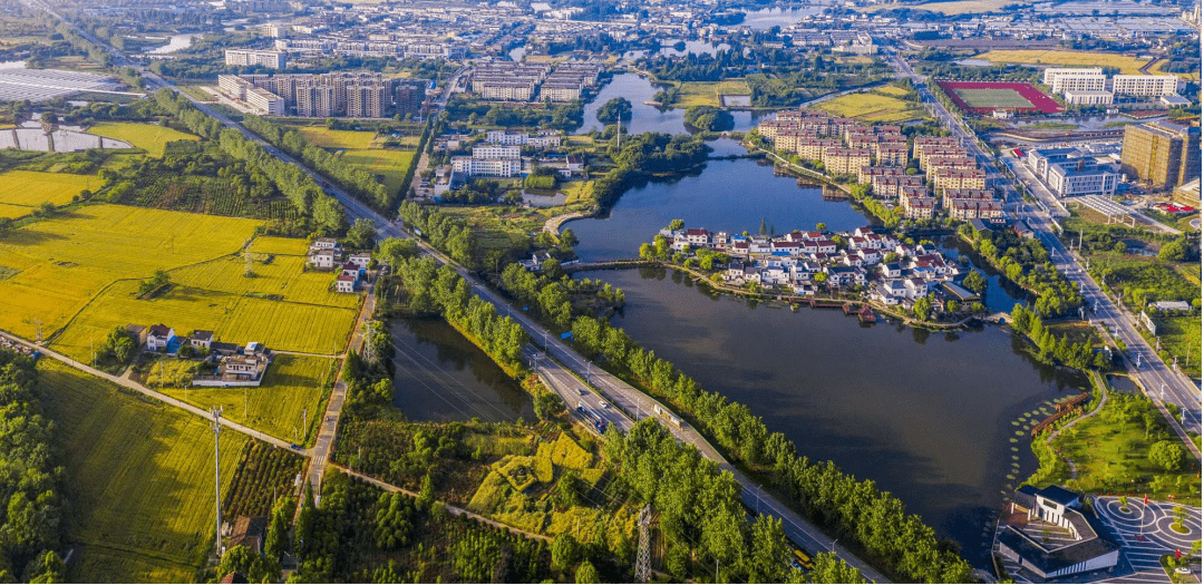 67芜湖这种野菜凭什么霸屏央视?_六郎镇_特色_八仙