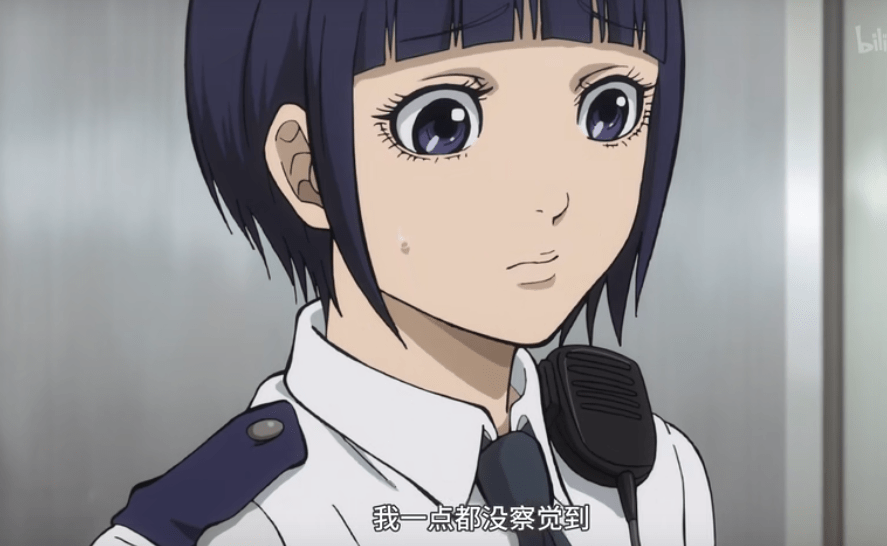 的反击|《秘密内幕～女警的反击～》：一部优秀的职场新人指南