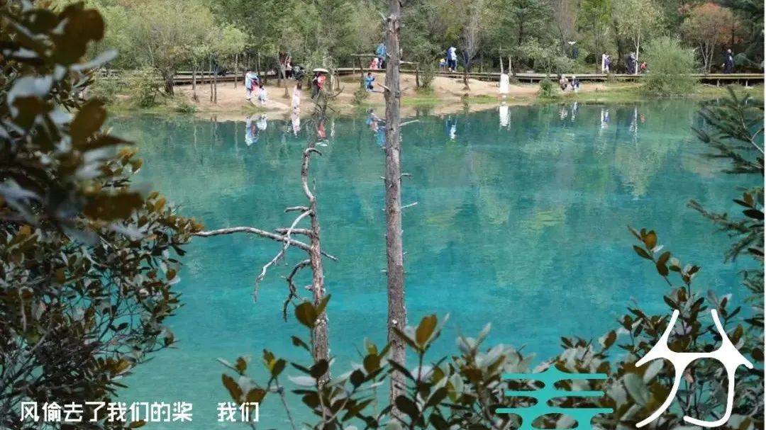节气 | 春分 摄影 | 张敖_张敖_节气_摄影