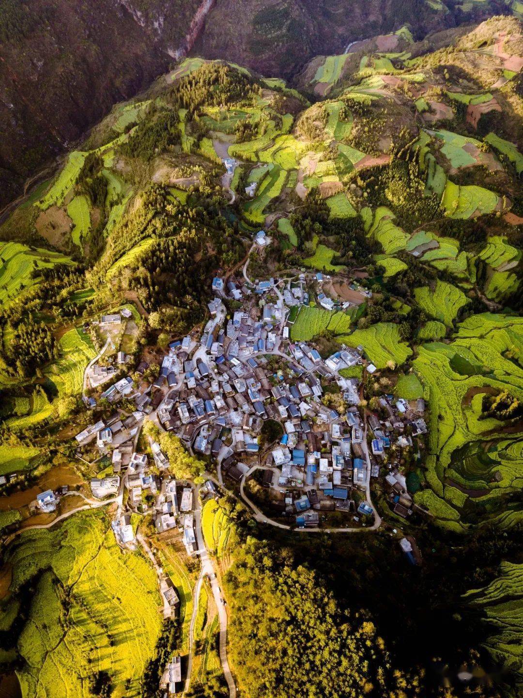 2022罗平7个赏油菜花圣地你去过几个?
