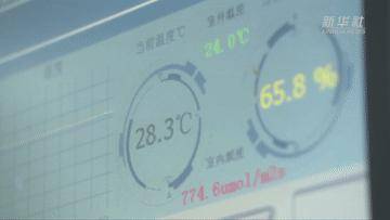 新华社|奋进新征程 建功新时代·伟大变革｜一粒种的“金色之旅”